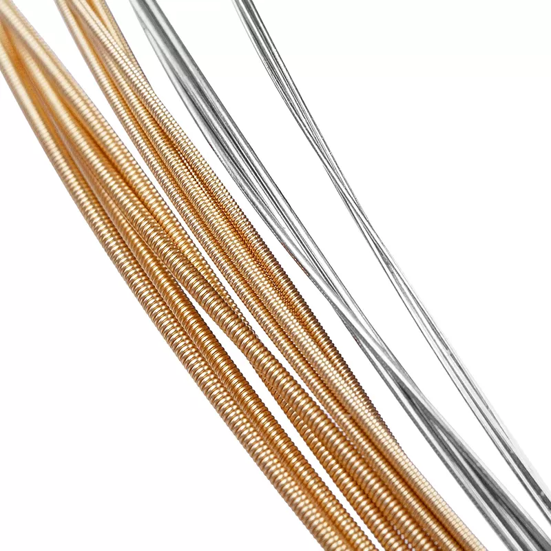 Banjo-strings-AJ05-800x800-4