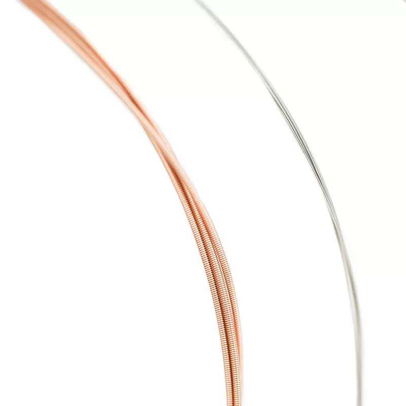 Banjo-strings-AJ06-800x800-4