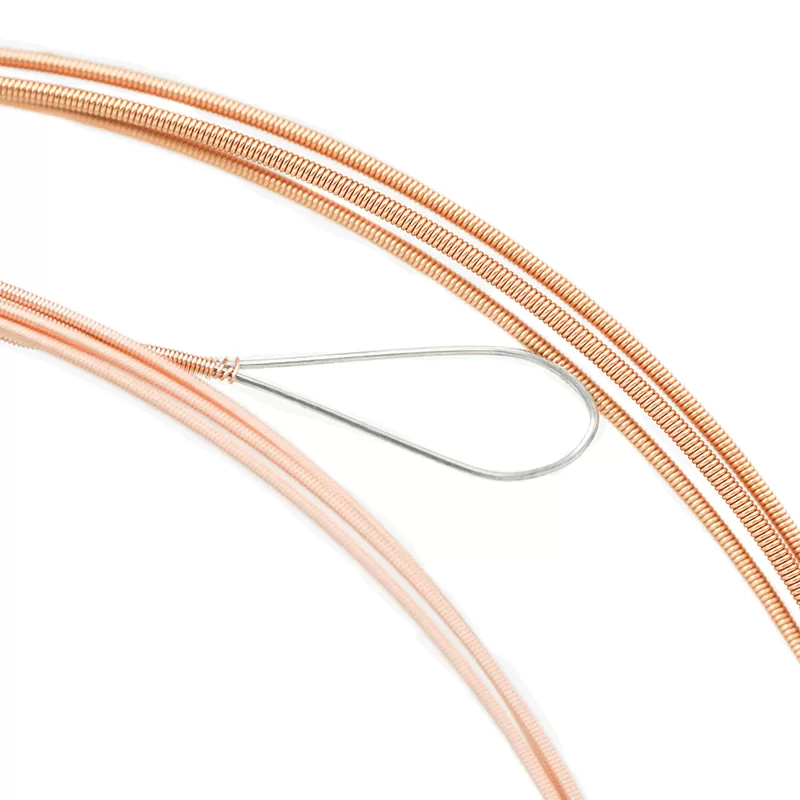 Banjo-strings-AJ06-800x800-3