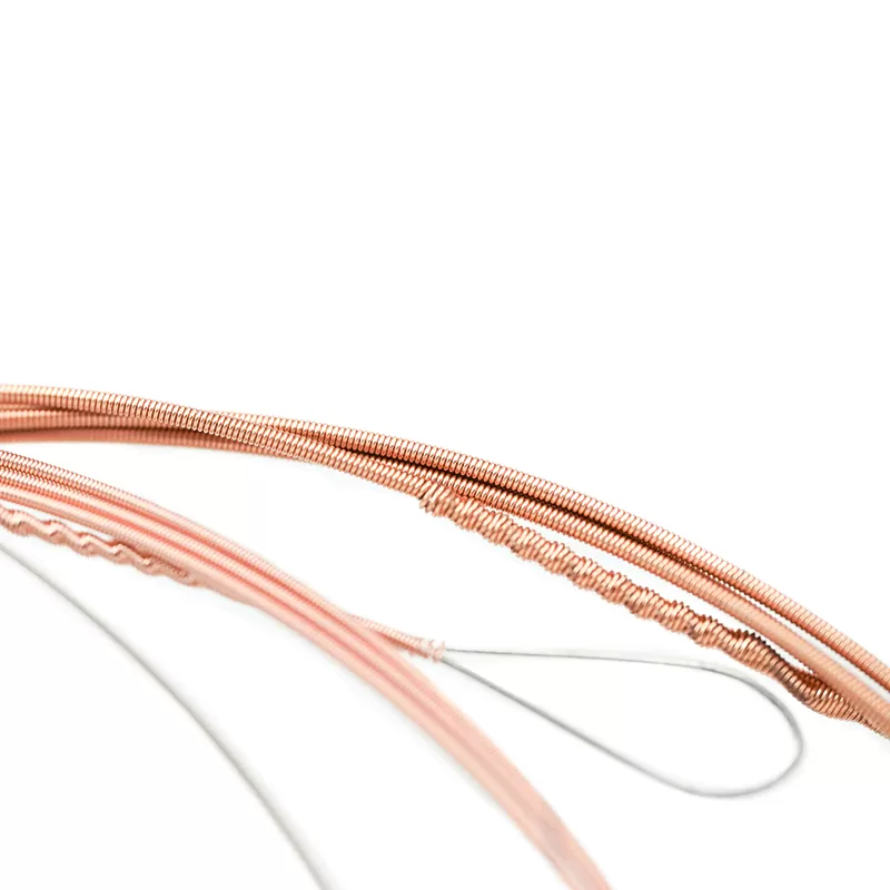 Banjo-strings-AJ07-800x800-4